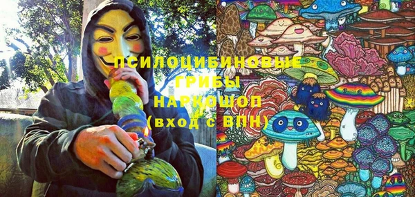 меф Медвежьегорск