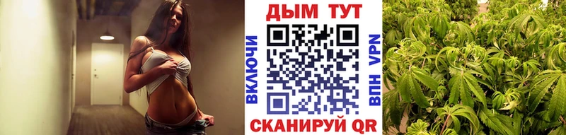 Бошки Шишки AK-47  где купить наркоту  Николаевск-на-Амуре 
